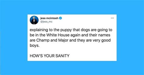 funniest cat and dog tweets this week